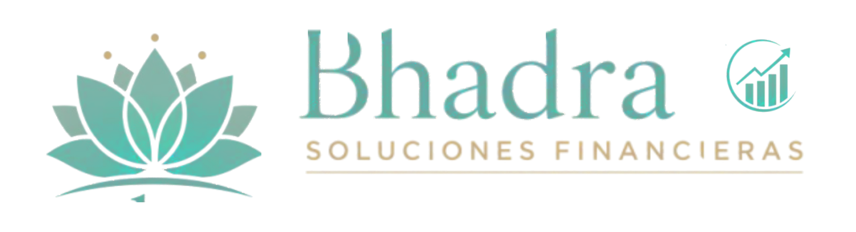 Bhadra Soluciones Financieras